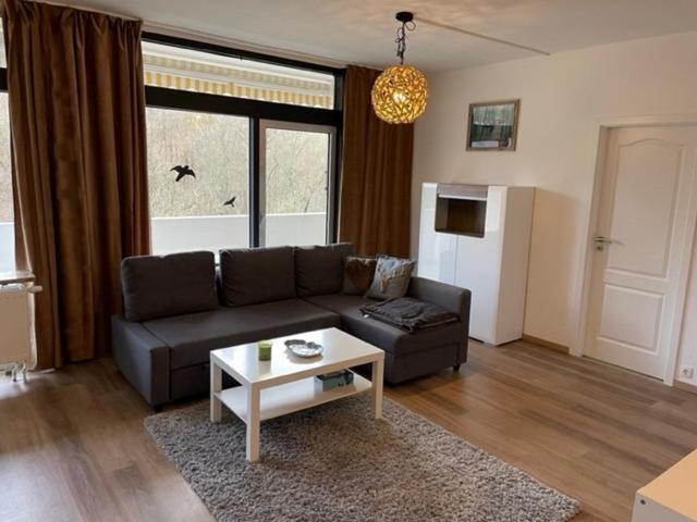 Schwalbennest Apartment Bad Harzburg Exterior photo