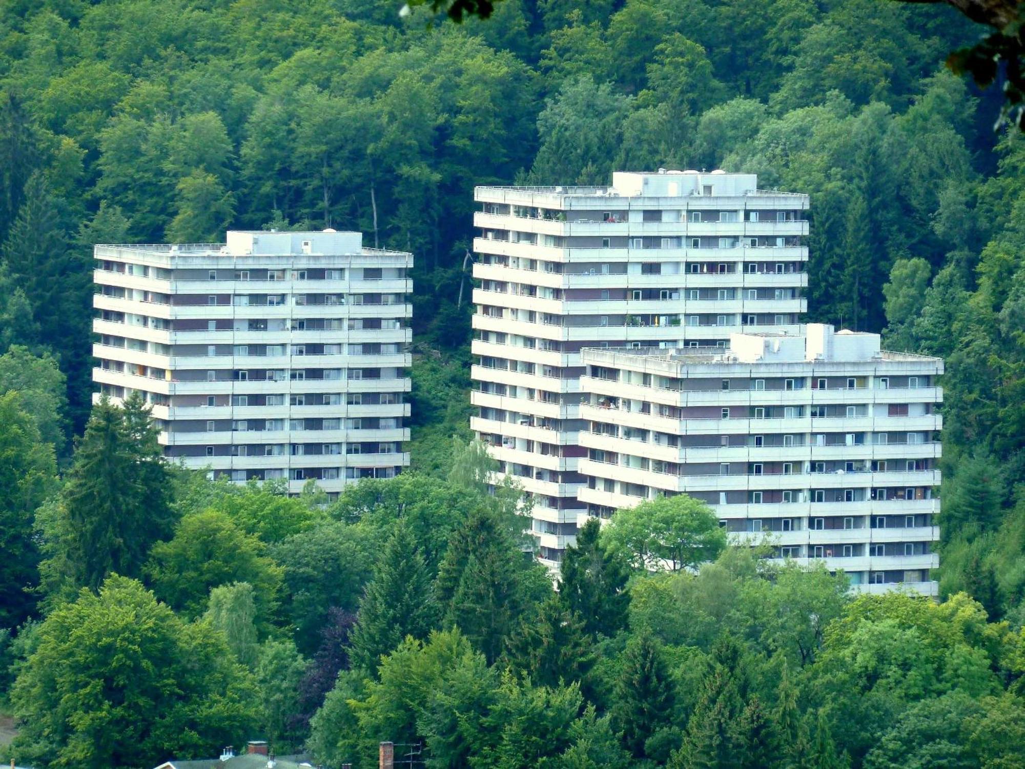 Schwalbennest Apartment Bad Harzburg Exterior photo